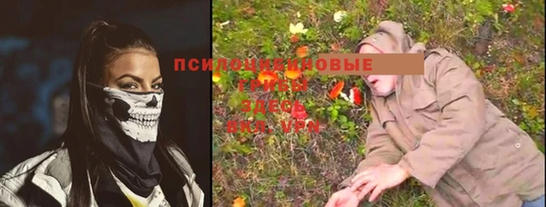 a pvp Арсеньев