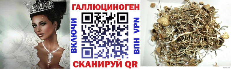 Галлюциногенные грибы мицелий  blacksprut   Сокол 